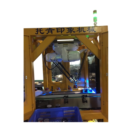 陇南龟苓膏机器人自动包装生产线